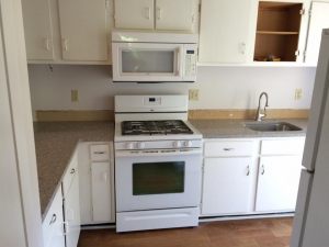 14192522_1076848575703430_5103271251116096919_n