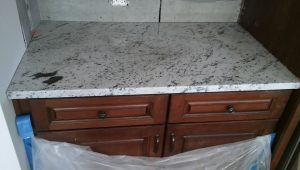 20786_900115183376771_3950255308456124458_n